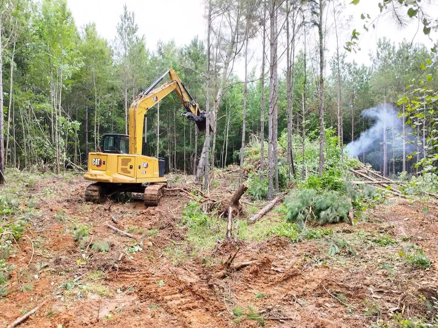 CAT excavator with grapple clearing pines on a forestry mulching job